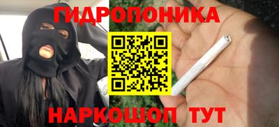стафф Нальчик