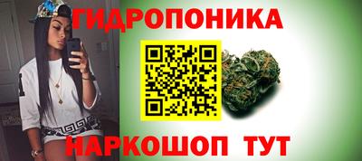 стафф Нальчик