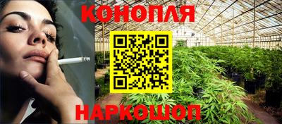 стафф Нальчик