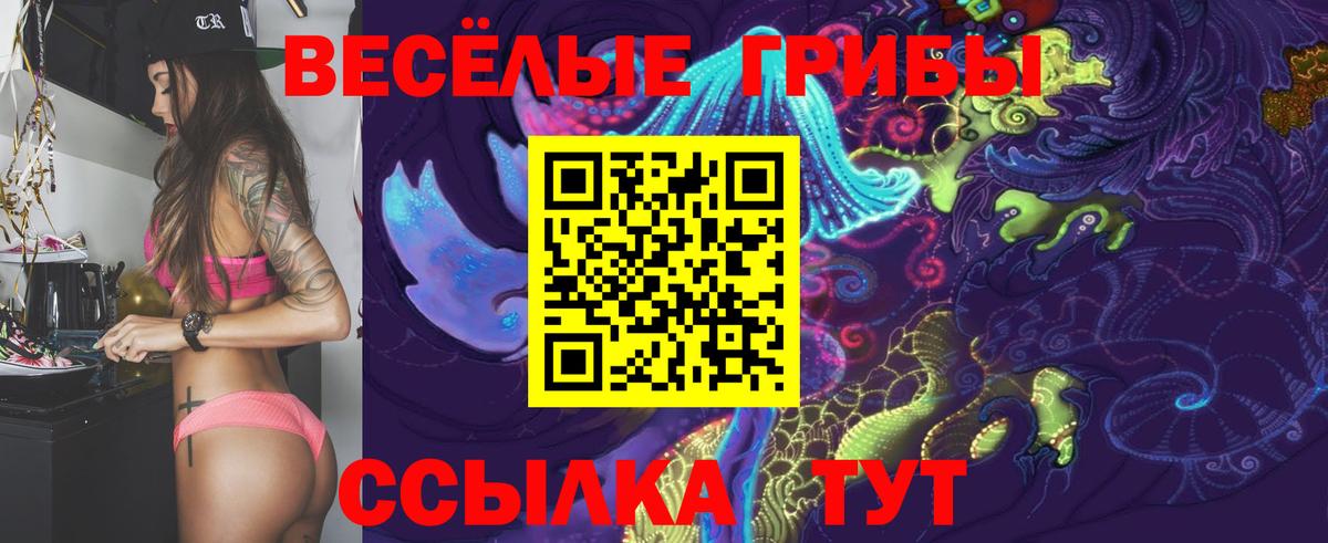 Псилоцибиновые грибы ЛСД Шелехов