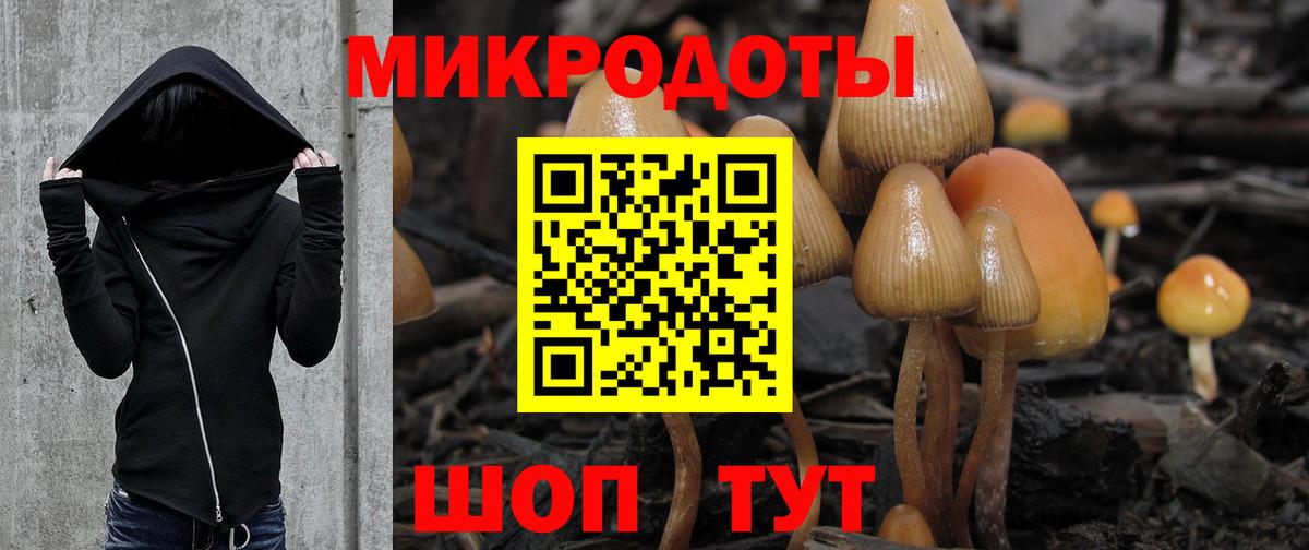 Галлюциногенные грибы Magic Shrooms  Вход с VPN  хочу наркоту  Шелехов 